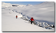 Jotunheimen